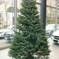 横浜市　ショールーム　クリスマスツリー
